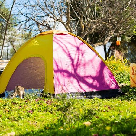 Camping Panorama 호텔 Ouazzane 외부 사진