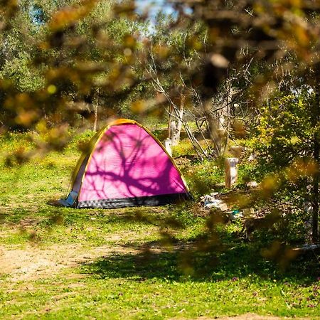 Camping Panorama 호텔 Ouazzane 외부 사진