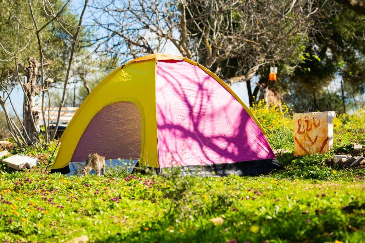Camping Panorama 호텔 Ouazzane 외부 사진
